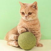 Enorme ballen kattenkruid